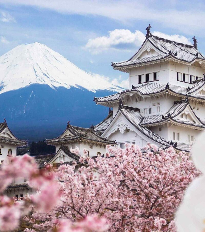 Big in Japan